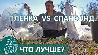 🌿 Which is Better: a Spunbond or Film for the Gordeev’s Greenhouses