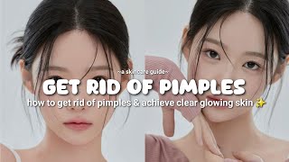 how to get rid of pimples & achieve clear glowing skin ✨ (the secret to flawless skin)