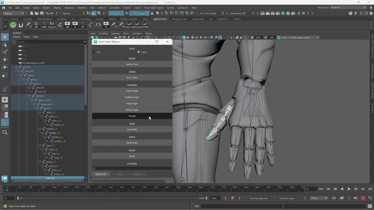 Joint Chain Renamer Tool Showcase Part 1