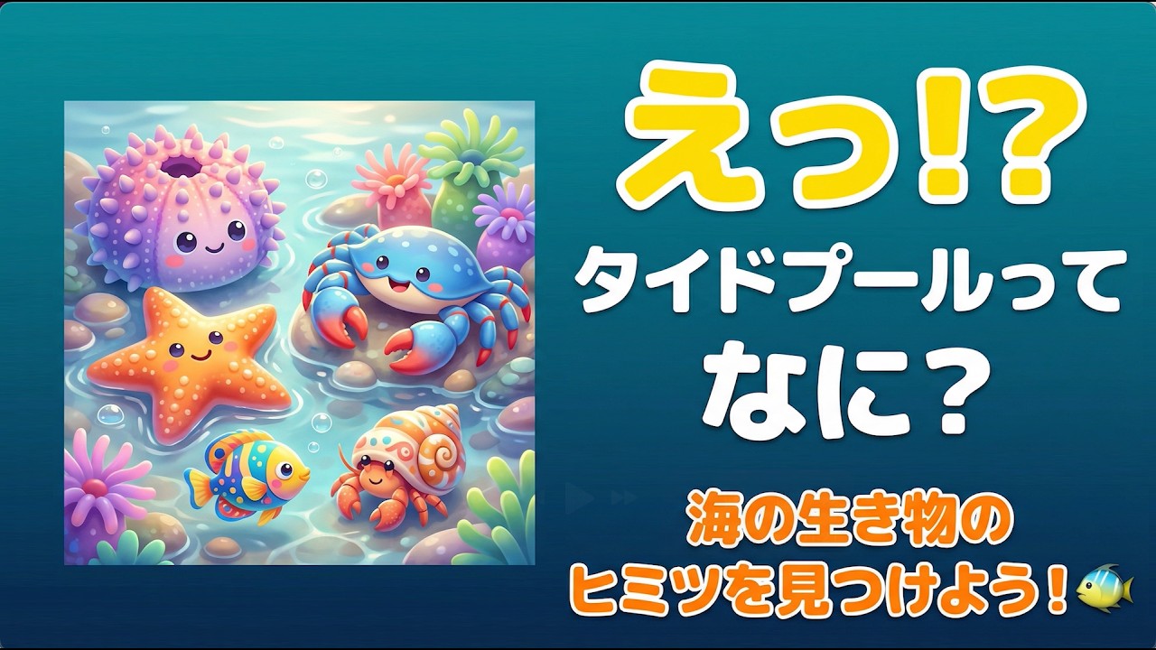 観察】海の生き物ウォッチング！ペットボトルで海の生き物を観察しよう