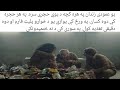     the platform movie explained in pashto