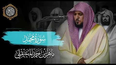 القرآن الكريم سورة محمد بصوت الشيخ ماهر المعيقلي 