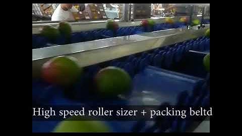ESHET EILON - High speed roller sizer + packing beltd