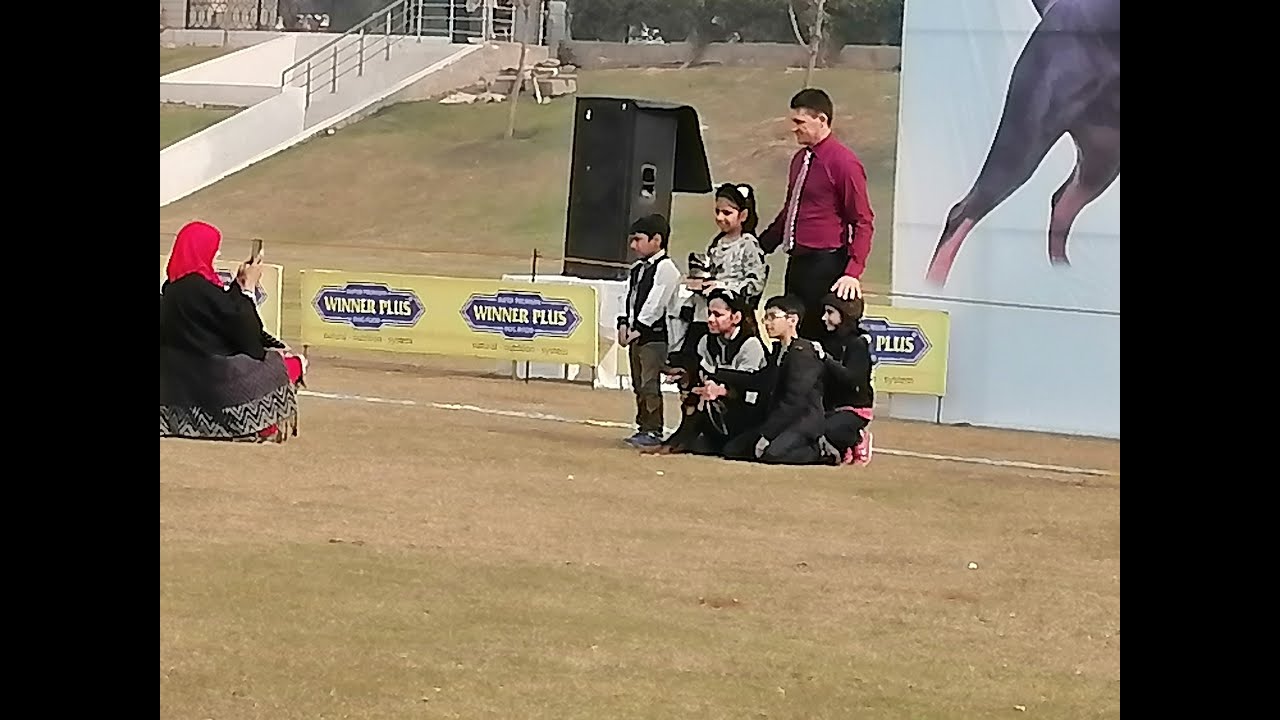 ROTTWEILER DOG SHOW | THE ROTTWEILER CLUB | 08-DEC-2019 | LOYAL HEARTS