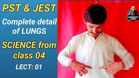 Preparation for PST & JEST test/ General Science MCQs from STBB/ Complete detail about Lungs.