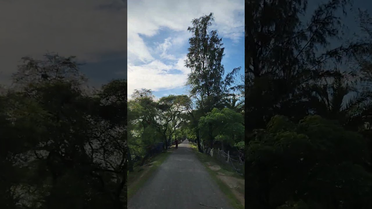 Noakhali Sonapur 2025 | Beach side road 