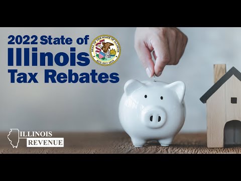 Video: Ar Ilinojaus valstijoje taikomas valstybinis pajamų mokestis?