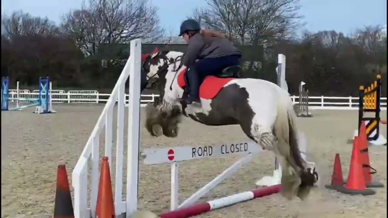 ARENA HIRE WITH THE PONIES ( BROOKFARM ) !!!