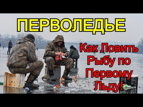 Рыбалка по первому льду! Советы для начинающих рыбаков! Как рыбачить по перволедье! winter fishing