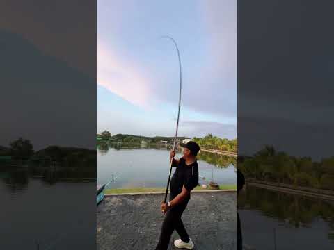 Đi câu bị chủ hồ cà khịa và cái kếtv #chungnguyenfishing #shorts