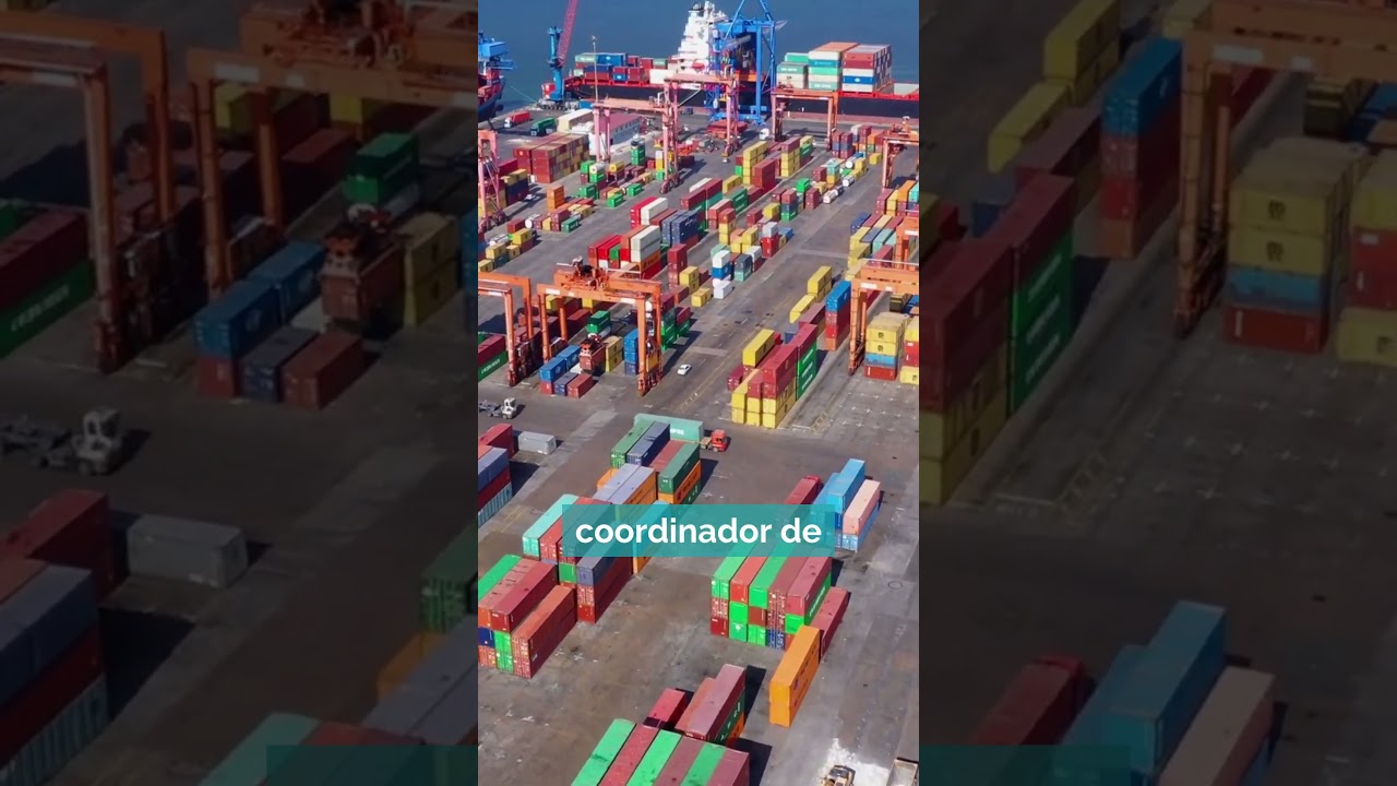 SALIDAS Profesionales TRANSPORTE MARÍTIMO y PESCA de ALTURA #formacionprofesional #fp