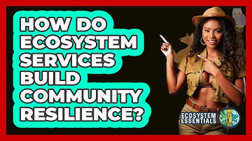How Do Ecosystem Services Build Community Resilience? - Ecosystem Essentials
