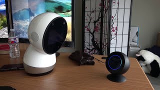 Face Off: Jibo versus Alexa (Echo Spot)