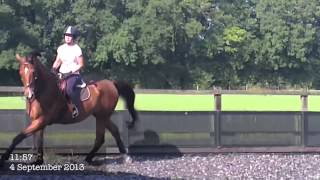 Flatwork Before & After, 2 Years
