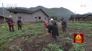 太阳河畔捞车村--【 走遍中国】6集系列片望乡(3)|720P 20150518