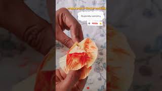 Amazing flower tricks using paper/simple and easy paper flower/how to make paper flower/paper flower