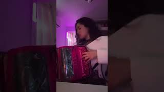 De Mis Melodías Favoritas En El Acordeón