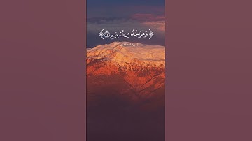سورة المطففين من الآية ٢٥ إلي ٣٢ بصوت الشيخ ناصر القطامي. الورد اليومي من القرآن الكريم #religion