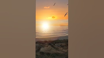 من روائع التلاوة ( لقد كان في قصصهم عبرة لأولي الألباب ) #قرآن_كريم_راحة_نفسية_ارح#اكسبلور #explore