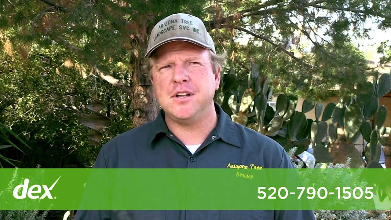 Arizona Tree & Landscape Service Inc