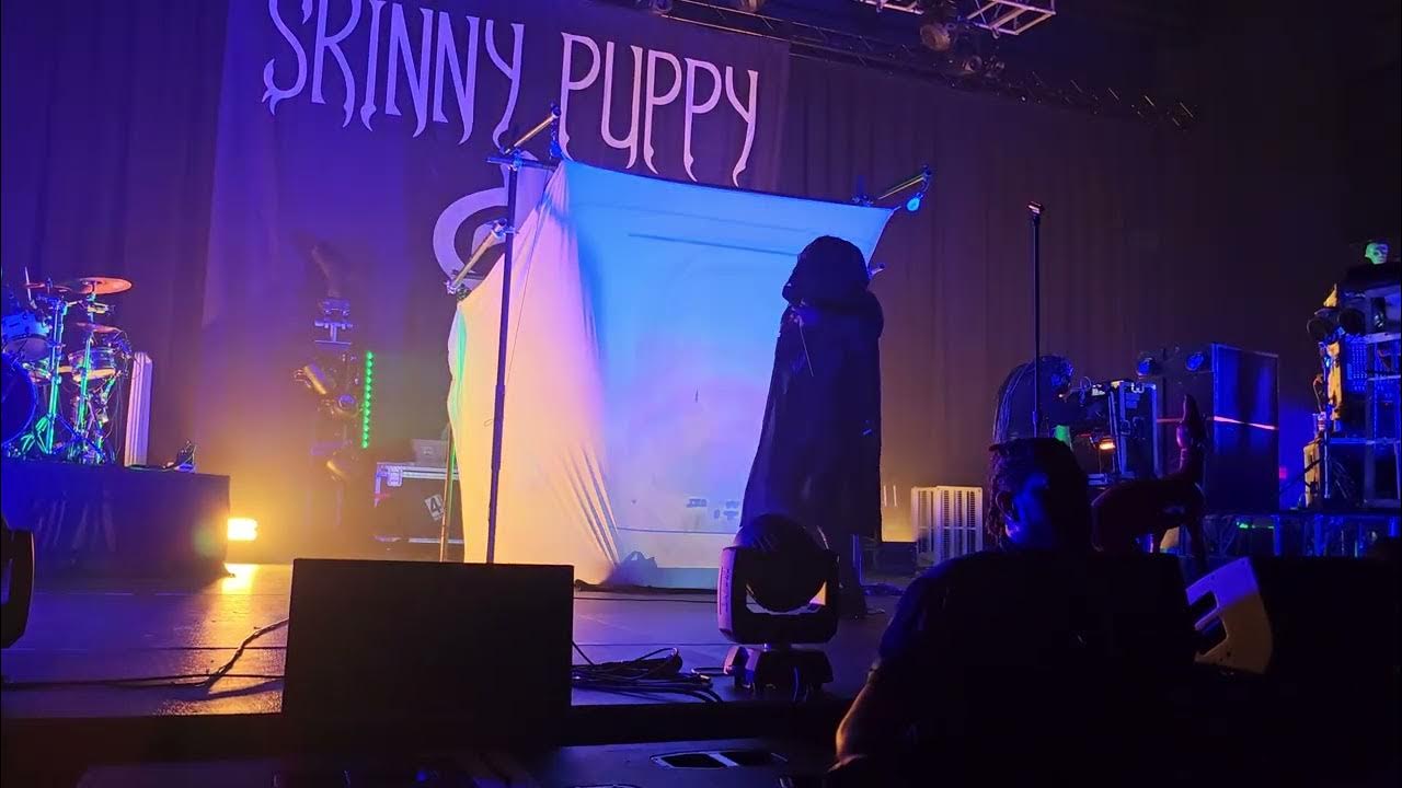 Skinny Puppy in Houston song Rodent Skinny Puppy in Houston song Rodent