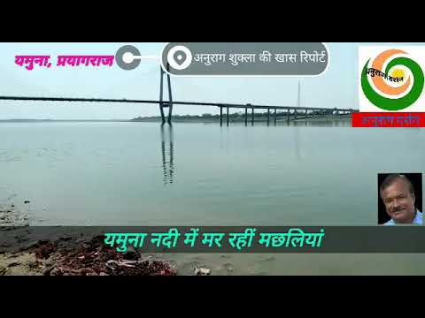 कोरोना संक्रमण काल मे यमुना में मर रहीं मछलियां, देखें खास रिपोर्ट