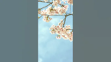 09 Children S Songs Детские песни про весну Children S Songs About Spring 