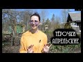 Тёрки апрельские