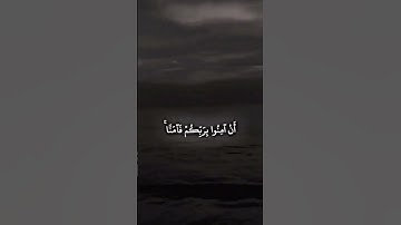 ربنا اننا سمعنا منادي ينادي للأيمان/القرآن الكريم اجر لي ولكم