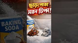 ছাড়পোকা মারার ঘরোয়া পদ্ধতি!! #foryou #Hellokhokon #Healthcare #motivation #trend #animation #health
