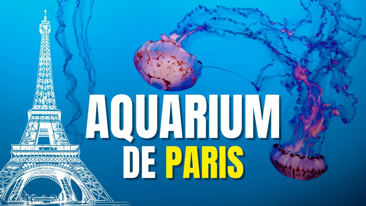 Exploring Paris Aquarium 🐠 | A Must-Visit Paris Attraction | Stunning Underwater World | 4K
