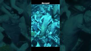 The Hunt That Drowned in Red | The Mermaid 2016 – The Siege Scene 🔫💧💔