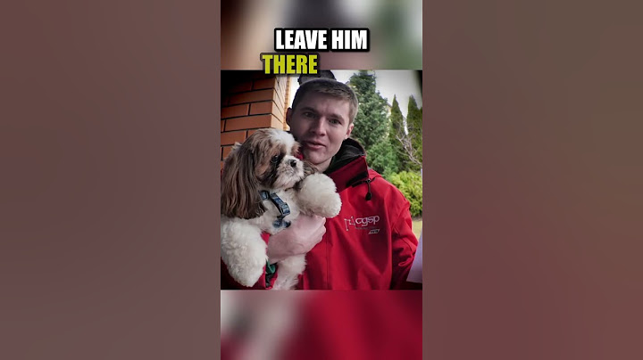 Lost dog reunited with owner 🥺❤️