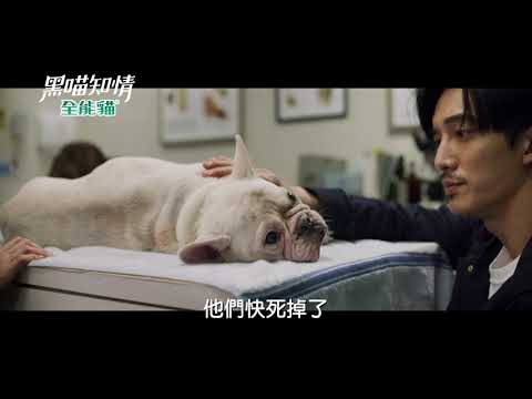 《黑喵知情預告》EP6 救救我的孩子 他們快死掉了