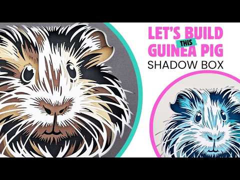 How to Assemble the SVGMaria Layered Guinea Pig Shadow Box | Step-by-Step Paper Craft Tutorial