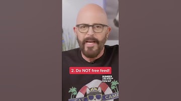 DON’T Do These 2 Things When Feeding Your Cats! #shorts