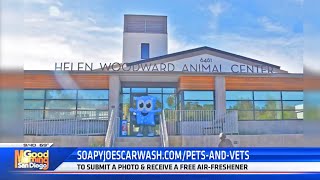 Get a FREE air freshener featuring YOUR pet to support Helen Woodward Animal Center🐾 by Helen Woodward Animal Center 47 views 7 months ago 5 minutes, 14 seconds