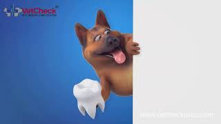 Why your pet’s Dental Health Matters!!