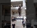 Erdoğan için 'Yaşlar bitiyor' dedi, sonra...