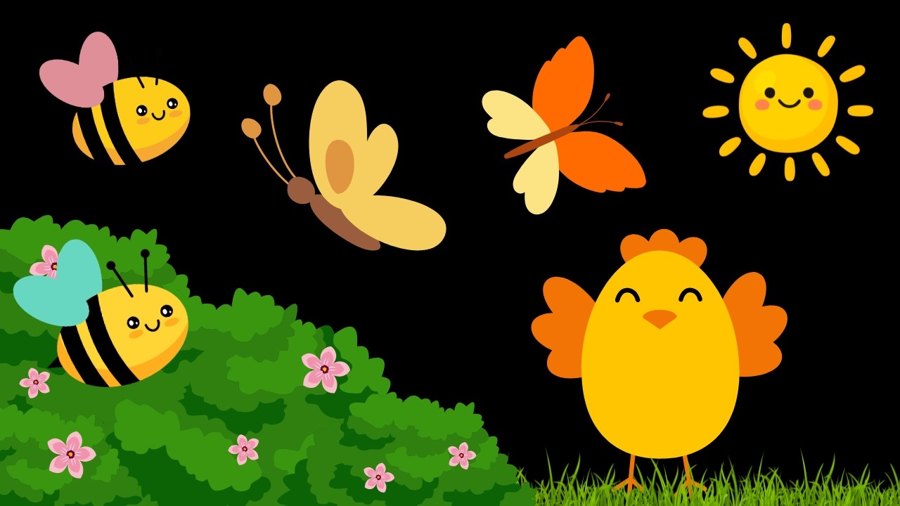 Baby Sensory Video - Calm Baby Music - Sensory Videos For Babies - Visual Stimulation Newborn #baby