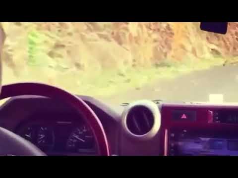 الشيله الحزينه تايه ولالي من احد 