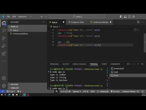 Node JS 100 days challenge - Why do we need data type? how do we declare data type in JS ?