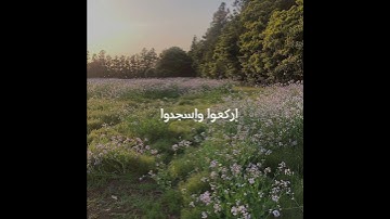 تلاوه هادئه بصوت الشيخ عبدالرحمان مسعد انشروها اجر لي ولكم 😞