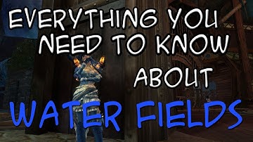 Guild Wars 2: In-Depth Look at Combo Fields And Finishers - Water Fields