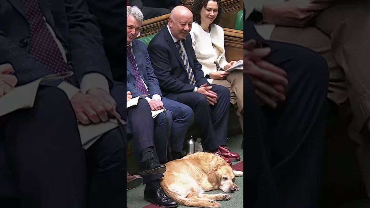 Starmer wishes Jennie, Steve Darling’s guide dog, a happy birthday