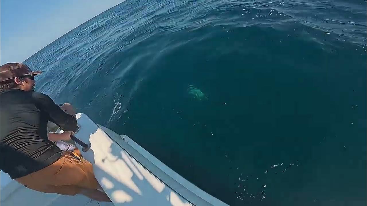 Company Fishing Trip - YouTube