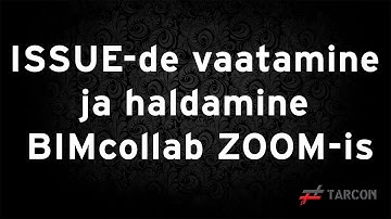 Issue-de vaatamine ja haldamine BIMcollab ZOOM-is
