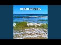 Ocean Sounds, Pt. 49