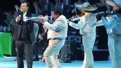 Mariachis y Trompetas ( Así Fue , Juan Gabriel) Mejores momentos !! (Reactions )