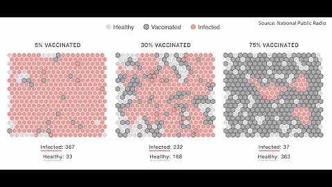 Herd Immunity Simulation, credit to NPR